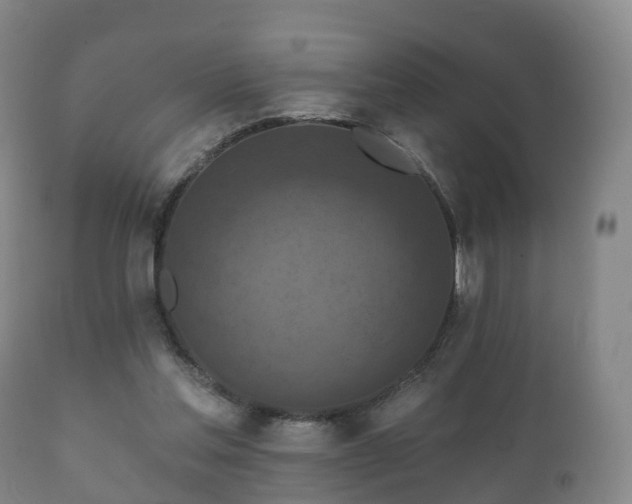 X0000112350205200908201447