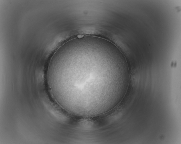 X0000112350207200908201447