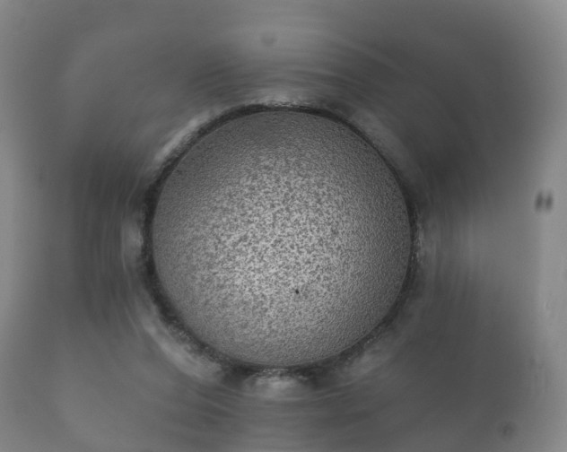 X0000112350208200908201447