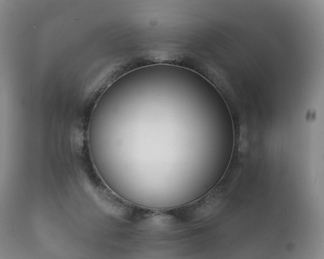 X0000112350210200908201447