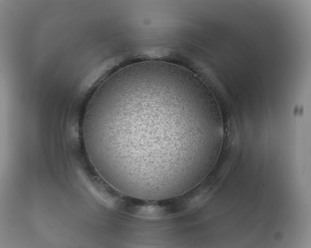 X0000112350212200908201447