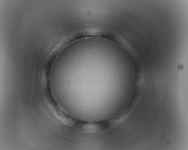 X0000112350213200908201447
