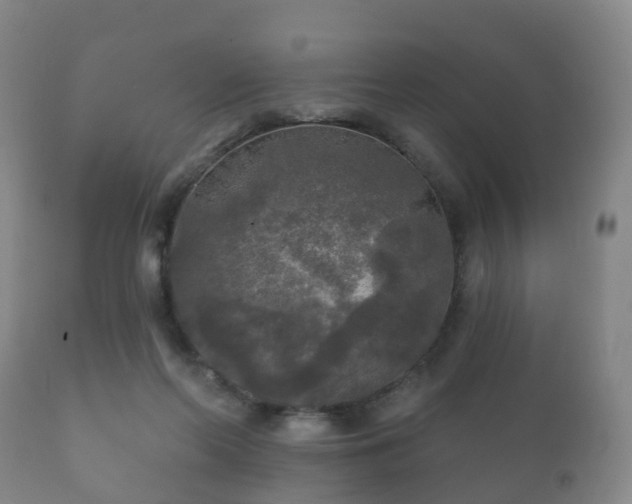 X0000112350214200908201447