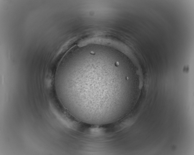 X0000112350216200908201447