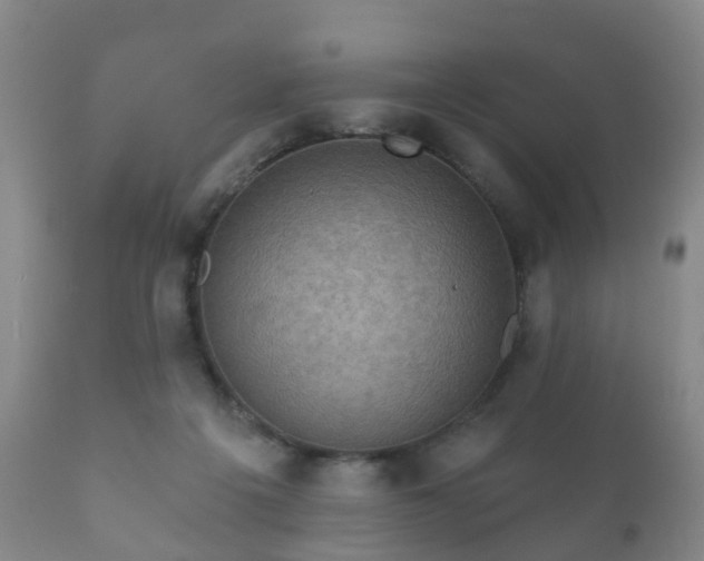 X0000112350217200908201447