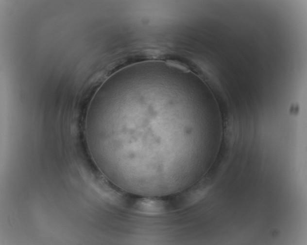 X0000112350221200908201447