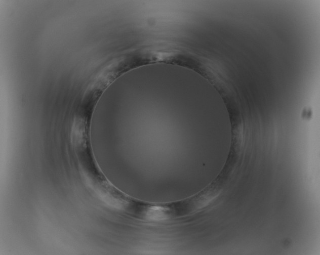 X0000112350222200908201447