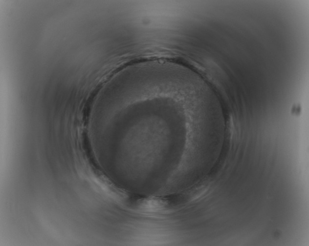 X0000112350223200908201447