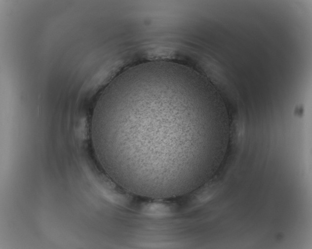 X0000112350224200908201447