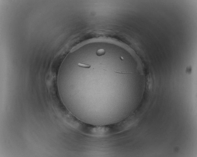 X0000112350225200908201447