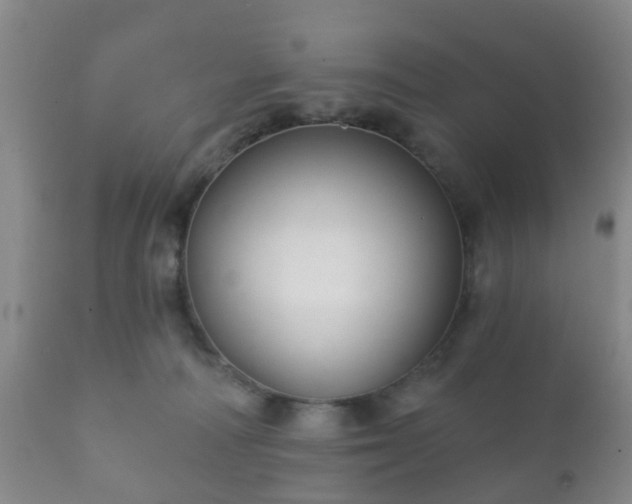 X0000112350226200908201447