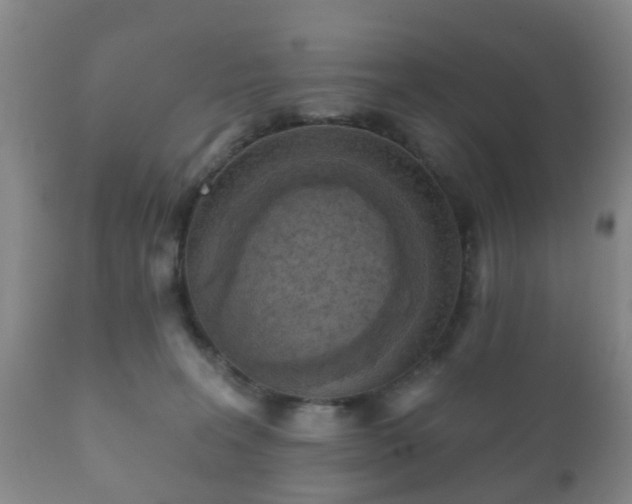 X0000112350227200908201447