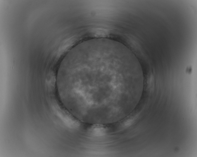 X0000112350228200908201447
