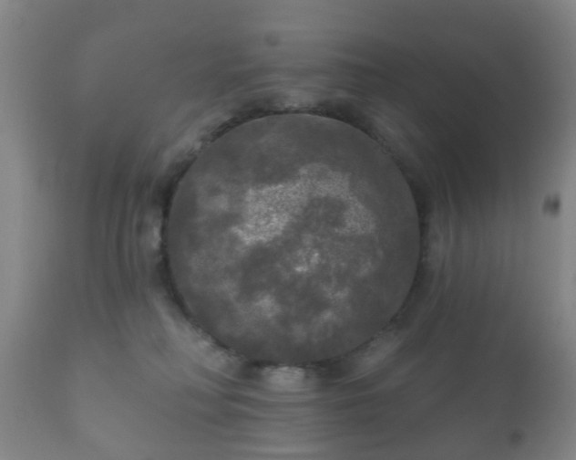 X0000112350230200908201447