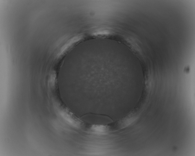 X0000112350231200908201447