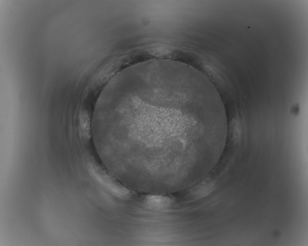 X0000112350234200908201447