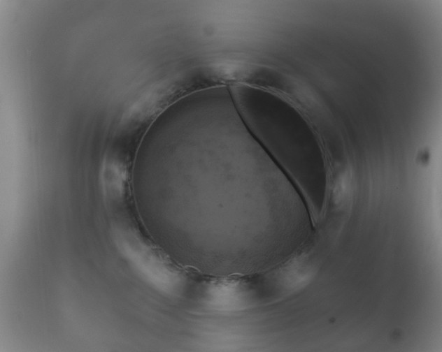 X0000112350235200908201447