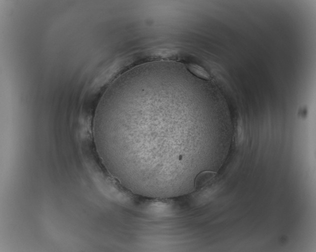 X0000112350236200908201447