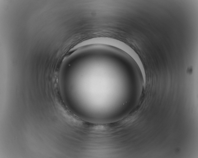 X0000112350237200908201447