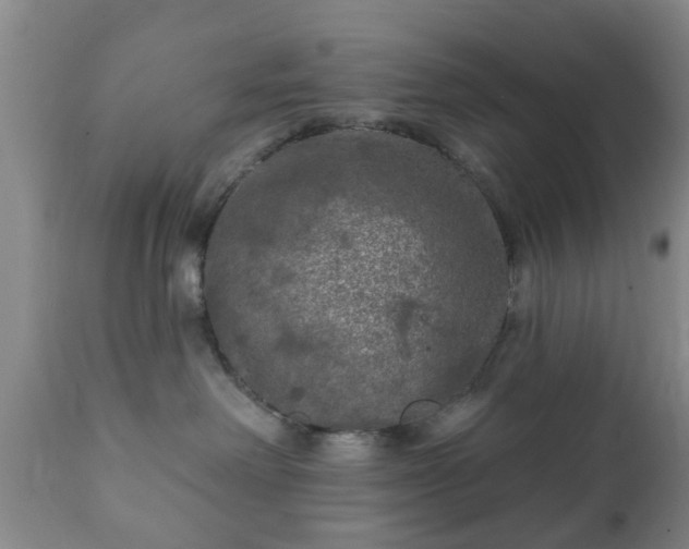 X0000112350238200908201447