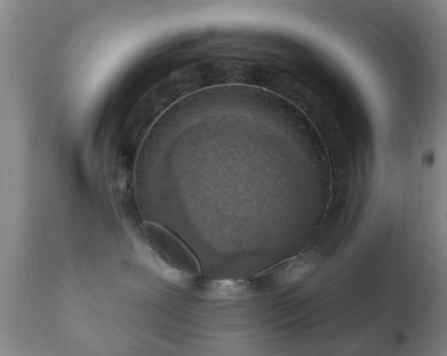 X0000112350239200908201447