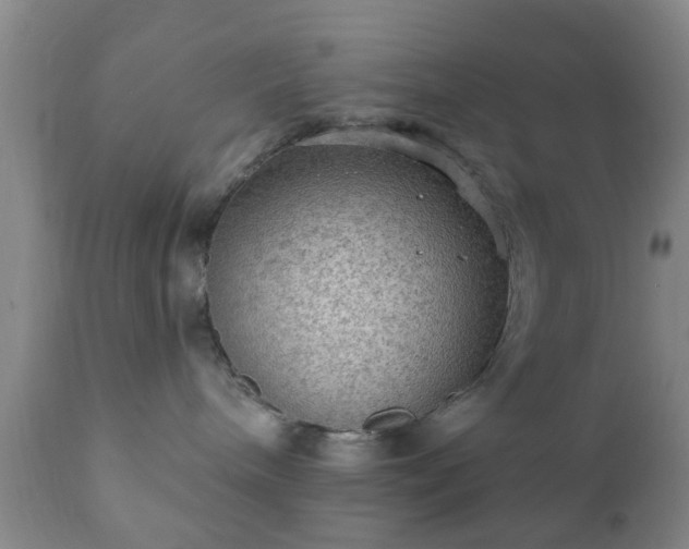 X0000112350240200908201447