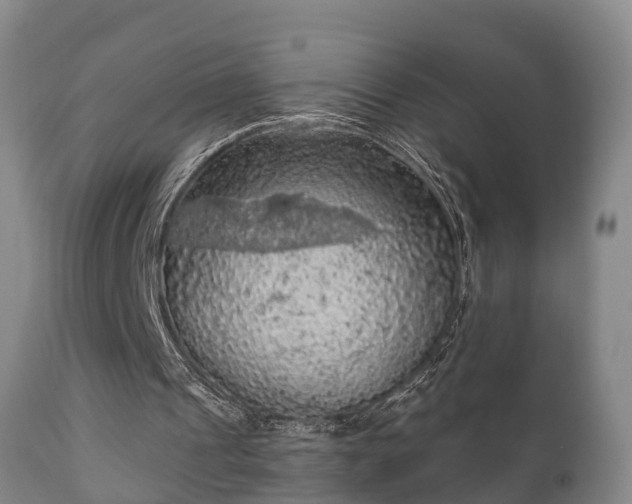 X0000112350241200908201446