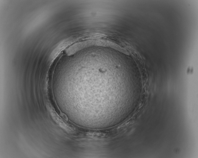 X0000112350242200908201446