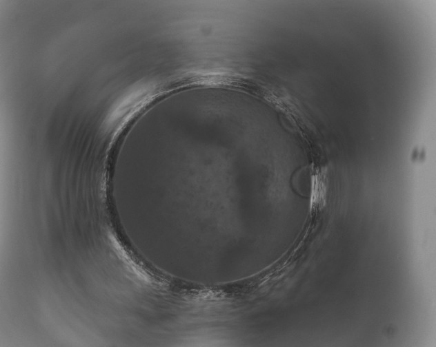 X0000112350243200908201446