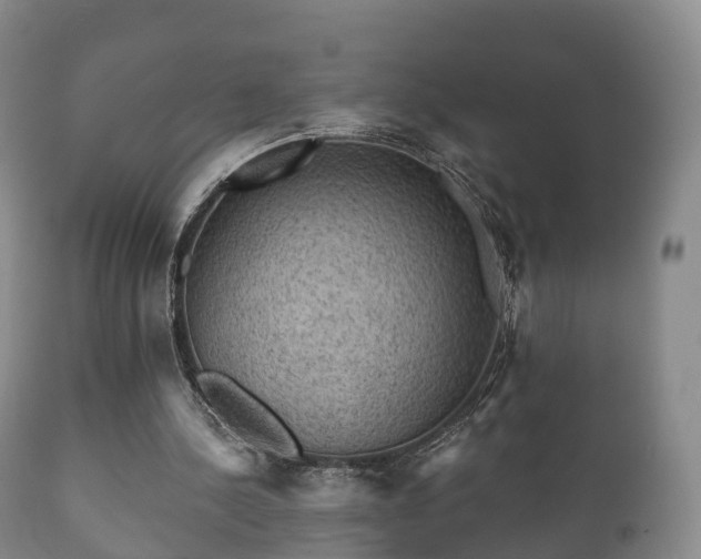 X0000112350244200908201446