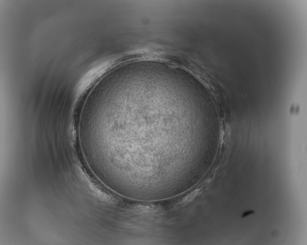 X0000112350245200908201446
