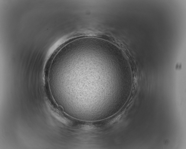 X0000112350246200908201446