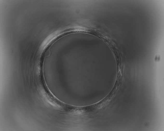 X0000112350247200908201446