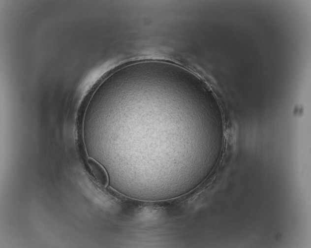 X0000112350248200908201446