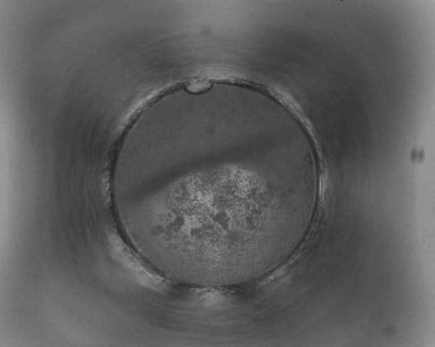 X0000112350249200908201446