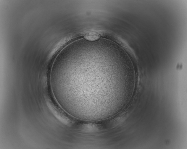 X0000112350250200908201446