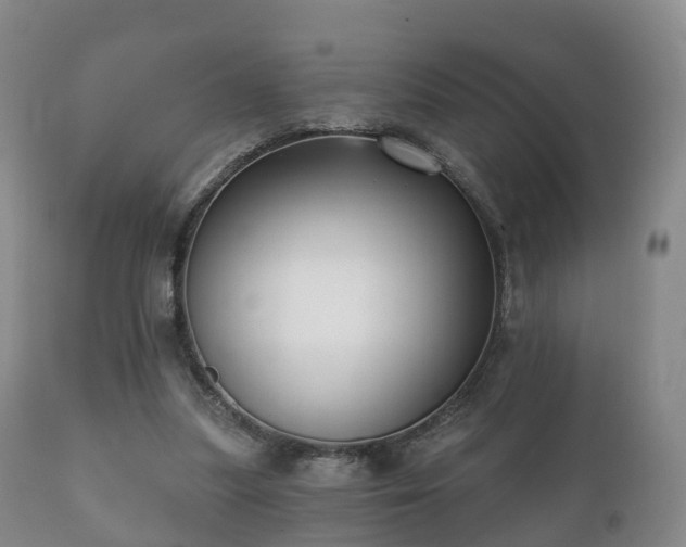 X0000112350251200908201446