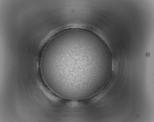 X0000112350253200908201446