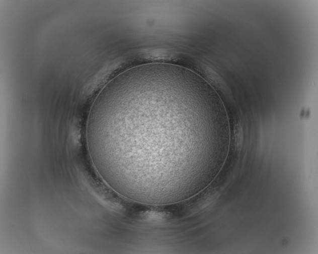 X0000112350255200908201446