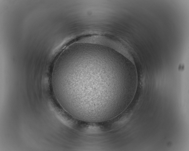 X0000112350256200908201446