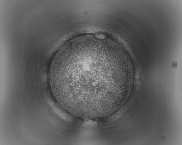 X0000112350257200908201446