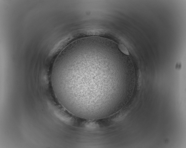 X0000112350258200908201446