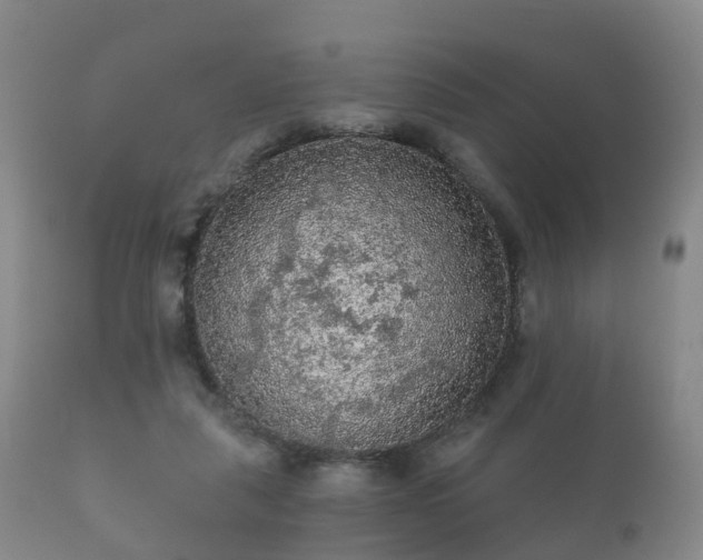 X0000112350259200908201446