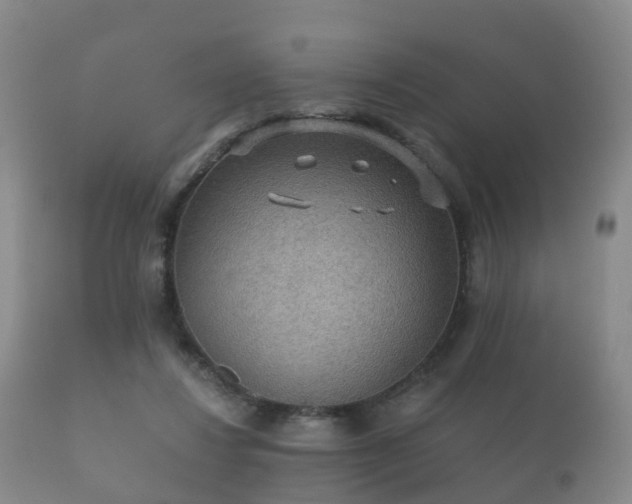 X0000112350260200908201446