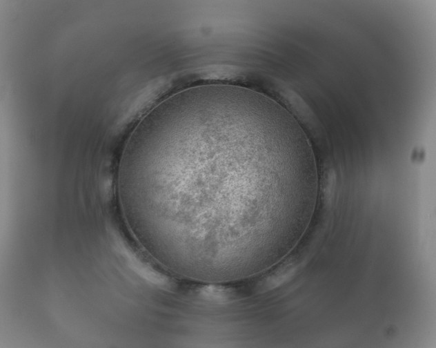 X0000112350261200908201446