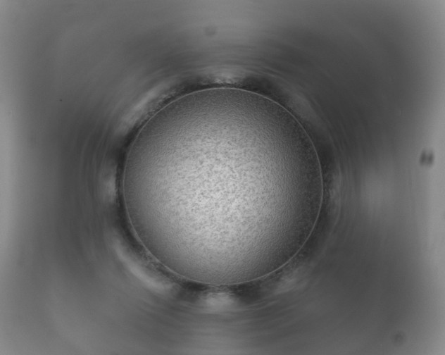 X0000112350262200908201446