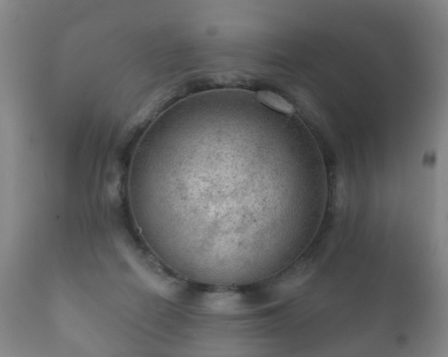 X0000112350266200908201446