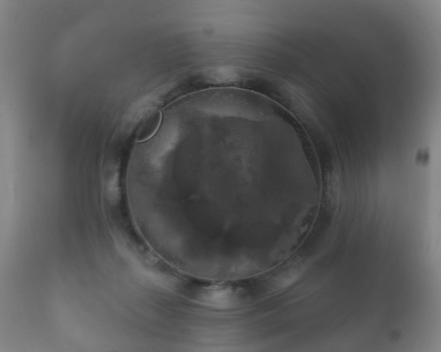 X0000112350267200908201446