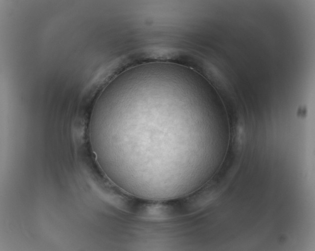 X0000112350268200908201446