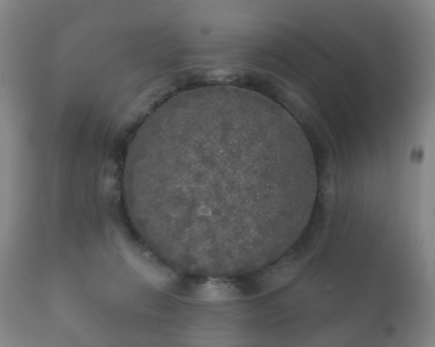 X0000112350270200908201446